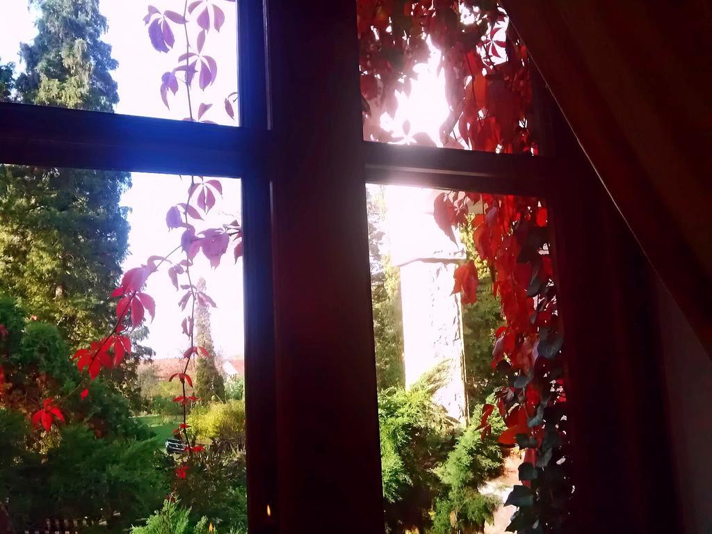 Banpotoc Villa Castelul Maria מראה חיצוני תמונה