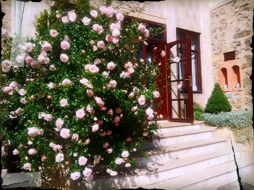 Banpotoc Villa Castelul Maria מראה חיצוני תמונה