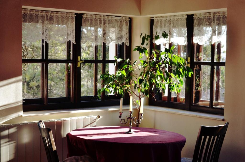 Banpotoc Villa Castelul Maria חדר תמונה