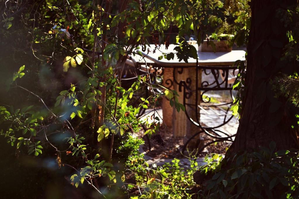 Banpotoc Villa Castelul Maria מראה חיצוני תמונה
