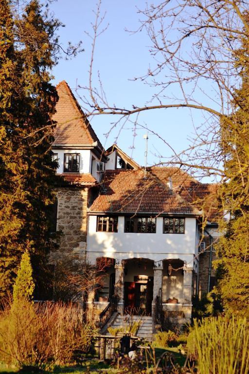 Banpotoc Villa Castelul Maria מראה חיצוני תמונה